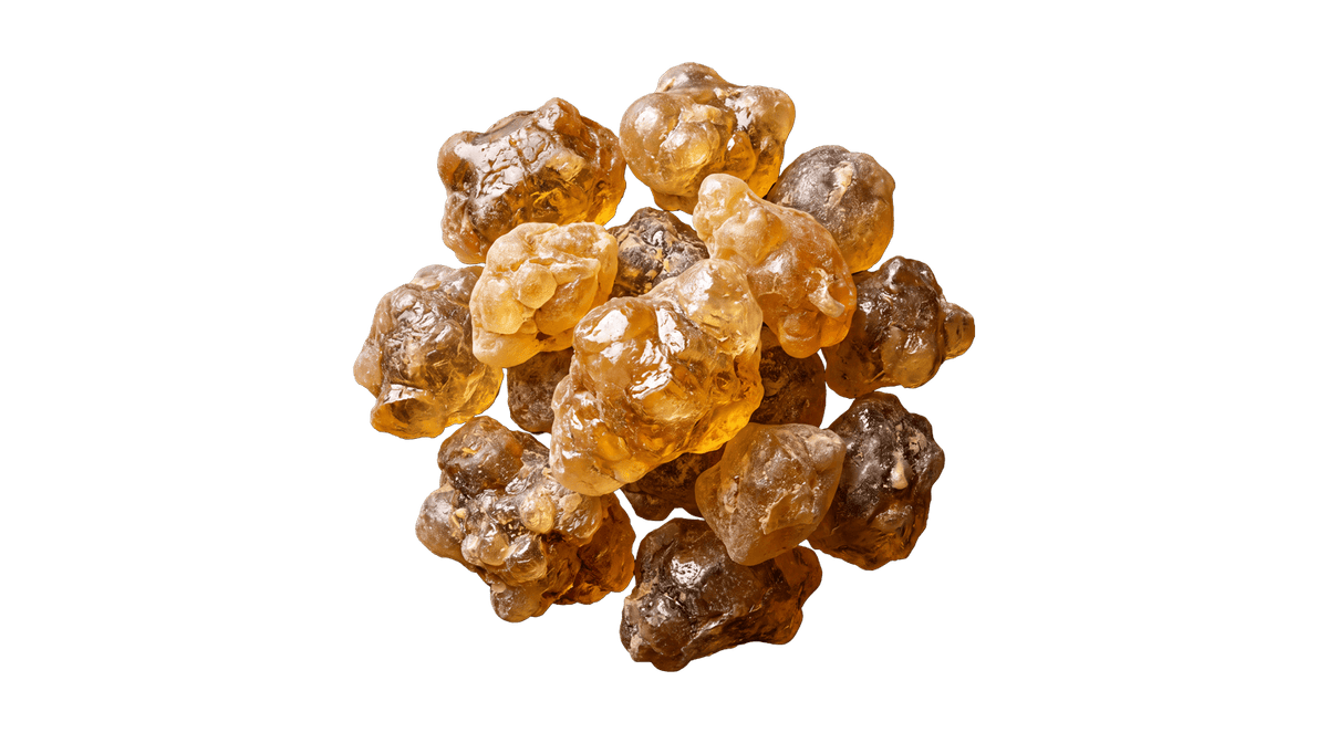 Boswellia: træet, harpiksen og røgelsesruten