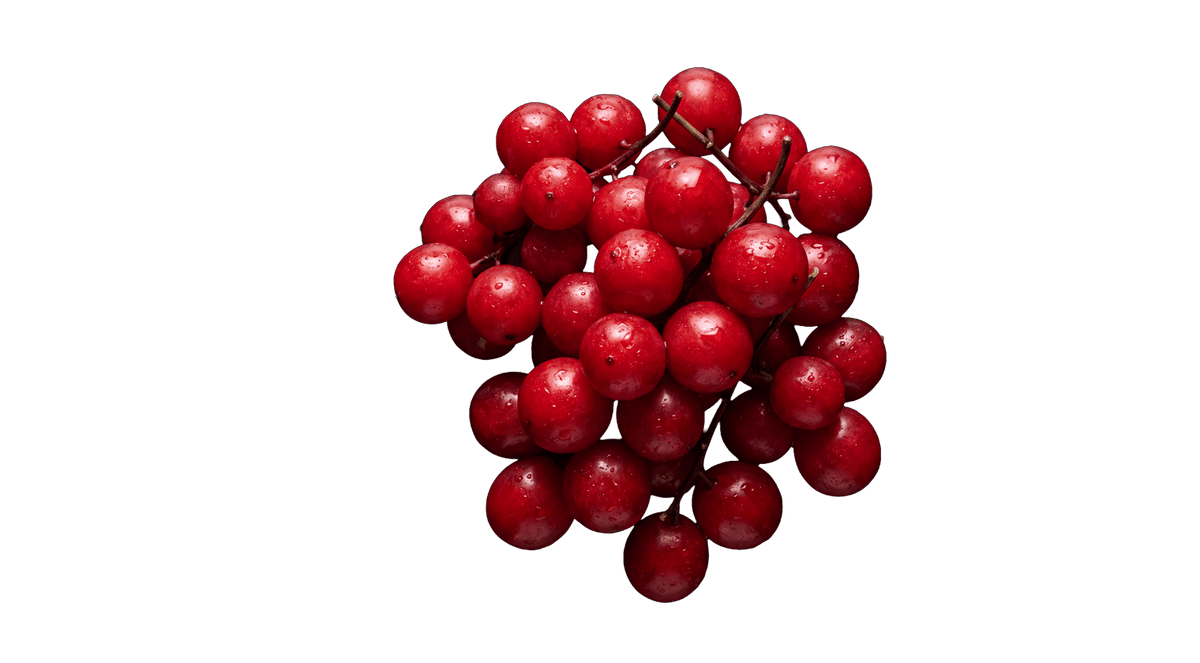 Schisandra: bærret med de fem smage